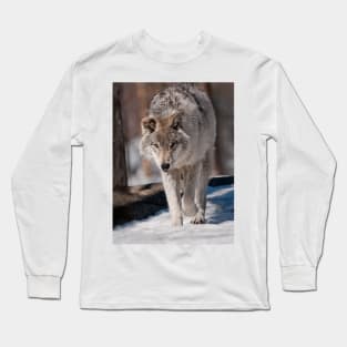 Timber Wolf Pup Long Sleeve T-Shirt